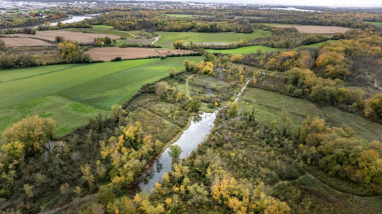 Jonage : un an après sa remise en eau, la lône confirme sa renaissance écologique
