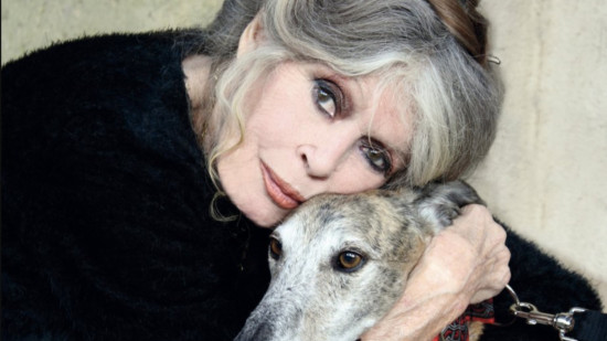 D&eacute;c&egrave;s de Brigitte Bardot : quand l'ic&ocirc;ne du cin&eacute;ma fran&ccedil;ais prenait la d&eacute;fense des animaux &agrave; Lyon