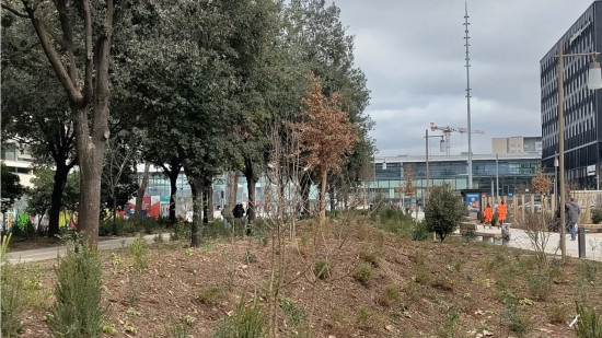 "R&eacute;volution paysag&egrave;re" ou "fake news" ? Le bois urbain de la Part-Dieu inaugur&eacute; &agrave; Lyon
