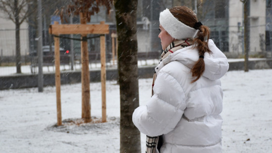 La neige de retour &agrave; Lyon, les autorit&eacute;s s'adaptent
