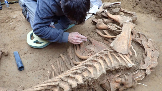 Lyon : nouvelles d&eacute;couvertes arch&eacute;ologiques majeures au cimeti&egrave;re de Loyasse