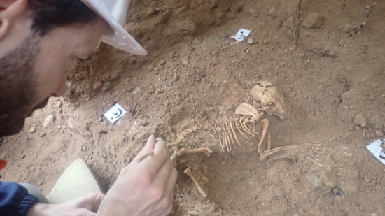 Lyon : la mairie lance un vaste chantier de restauration du jardin des Plantes, des fouilles prometteuses en cours