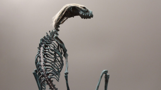 &Agrave; Lyon, l&rsquo;exposition X&eacute;nomorphe explore l&rsquo;alt&eacute;rit&eacute; &agrave; travers la science-fiction