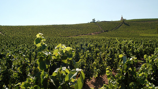 Le un-contre-un entre lyc&eacute;ens se termine en lynchage dans un champ du Beaujolais : 18 mois de prison ferme prononc&eacute;s