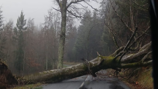Jusqu&rsquo;&agrave; 148 km/h : la temp&ecirc;te Nils secoue le Rh&ocirc;ne et provoque des dizaines d&rsquo;incidents