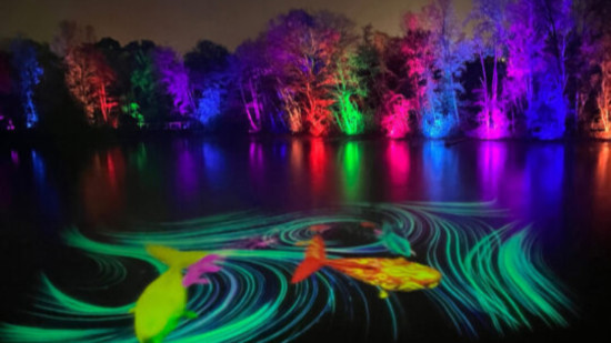 Que faire &agrave; Lyon ce week-end ? (20, 21 et 22 f&eacute;vrier)