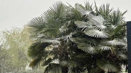 Le printemps vraiment ? Le retour de la neige ce jeudi pr&egrave;s de Lyon