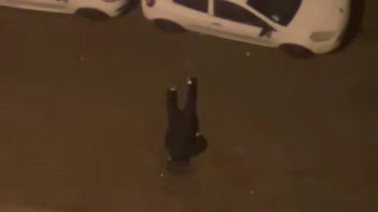 V&eacute;nissieux : un homme de 27 ans gri&egrave;vement bless&eacute; par balle en pleine nuit