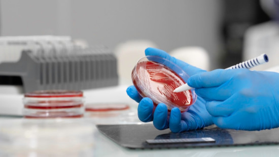 Lyon : bioM&eacute;rieux en recul au premier trimestre 2026