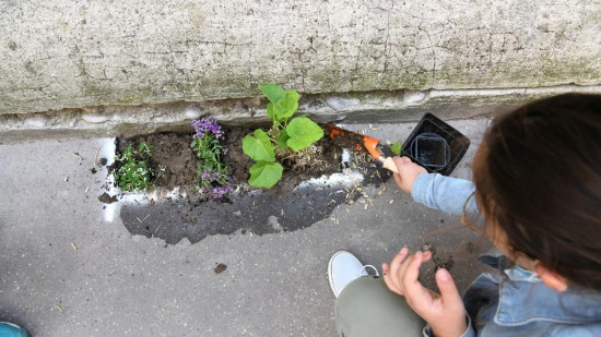 Jardins de rue, plantations : Lyon mise sur ses habitants