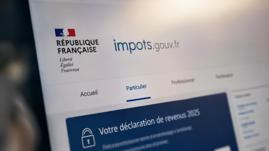 D&eacute;claration d&rsquo;imp&ocirc;ts impossible ? Des associations lyonnaises attaquent l&rsquo;&Eacute;tat pour un site jug&eacute; inaccessible