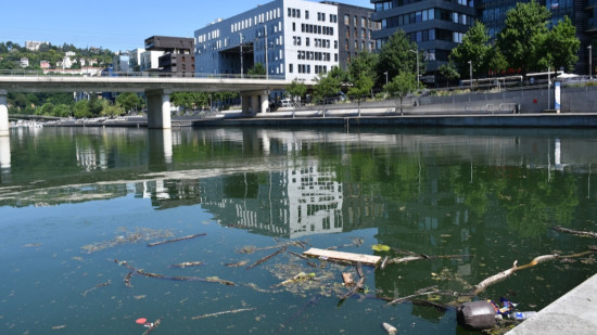 &ldquo;On nous a impos&eacute; le projet&rdquo; : la future baignade de la Confluence fait d&eacute;j&agrave; des vagues, les riverains montent au cr&eacute;neau