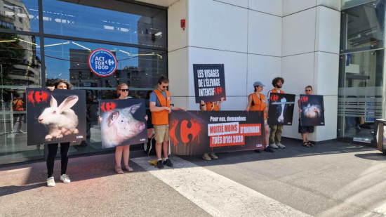 Villeurbanne : L214 m&egrave;ne une action devant Carrefour pour d&eacute;noncer l&rsquo;&eacute;levage intensif