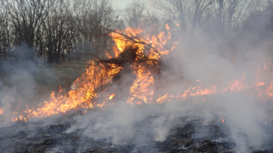 Incendies en s&eacute;rie dans la r&eacute;gion : plus de 130 pompiers mobilis&eacute;s sur un feu pr&egrave;s de Lyon