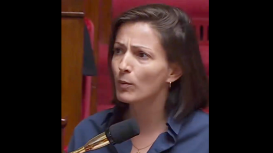 "Vous êtes dégueulasse !" : Marie-Charlotte Garin s’emporte lors d’un débat sur la perpétuité pour les pédocriminels "Vous êtes dégueulasse !" : Marie-Charlotte Garin s’emporte lors d’un débat sur la perpétuité pour les pédocriminels