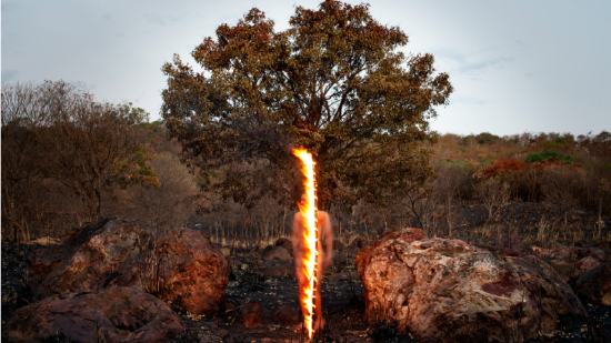 Biennale de Lyon : la Fondation Bullukian transforme l&rsquo;&eacute;cologie en terrain de r&eacute;sistance artistique