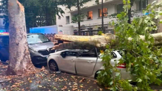 Orages à Lyon : rafales à 102 km/h, arbres et branches à terre dans la métropole Orages à Lyon : rafales à 102 km/h, arbres et branches à terre dans la métropole