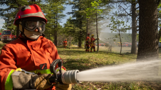 Rh&ocirc;ne : deux hectares de champ ravag&eacute;s par un incendie au nord de Lyon