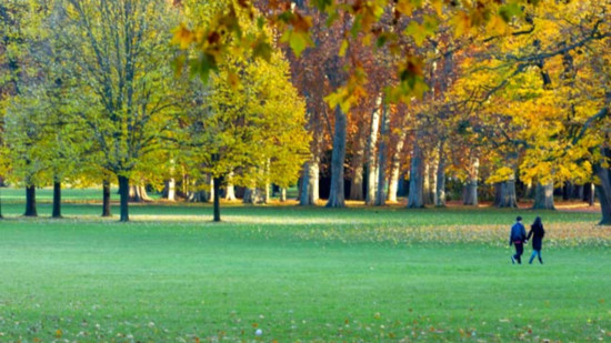 Arbres fragilis&eacute;s apr&egrave;s l'orage &agrave; Lyon : r&eacute;ouverture repouss&eacute;e pour le parc de la T&ecirc;te d'Or
