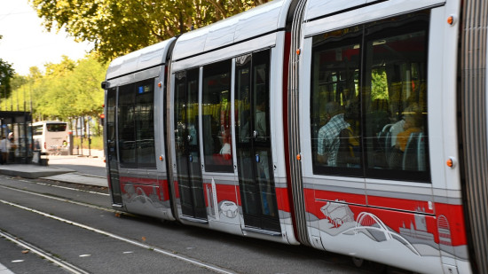 Lyon : des lignes de tram perturb&eacute;es par l&rsquo;&eacute;lagage d&rsquo;arbres