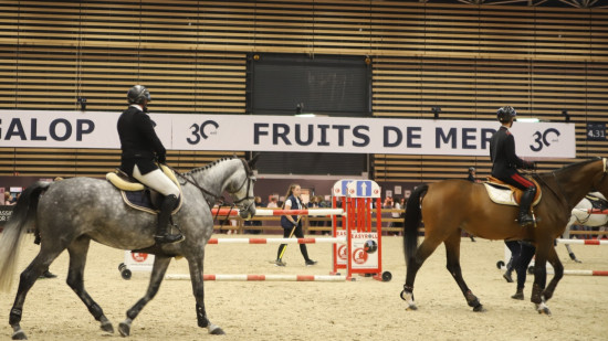 Equita Lyon : compétitions, spectacles et village enfants, le programme de l’édition 2026 Equita Lyon : compétitions, spectacles et village enfants, le programme de l’édition 2026