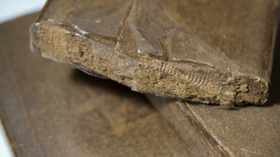 Vénissieux : 9 kilos de cannabis et 40 000 euros découverts dans un appartement