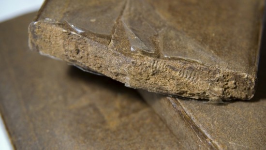 Encore un trafic de stupéfiants démantelé à Lyon, plus de 2kg de cannabis découverts