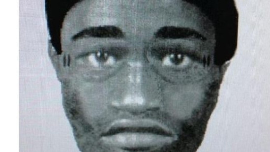 Violeur en série du 8e arrondissement de Lyon : gare au faux portrait-robot !