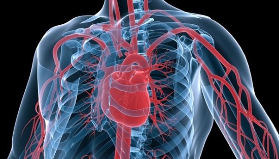 La fédération française de cardiologie inquiète pour les jeunes