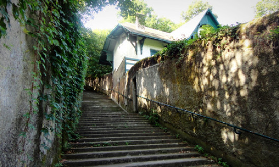 Lyon : ils ont gravi les marches de la colline de Fourvière pendant 24 heures ! Lyon : ils ont gravi les marches de la colline de Fourvière pendant 24 heures !