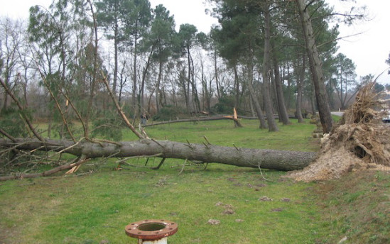 « Les berges du canal de Miribel sont aujourd’hui dangereuses »