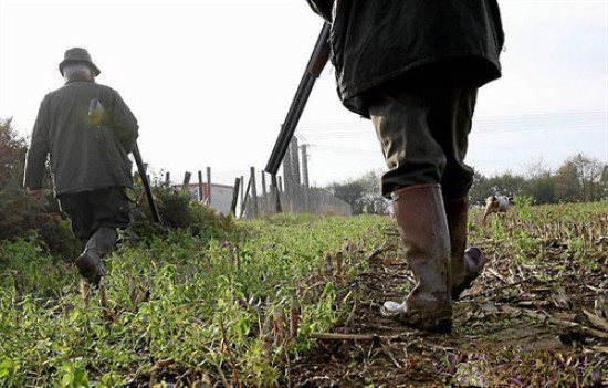Un chasseur mis en examen dans la Loire