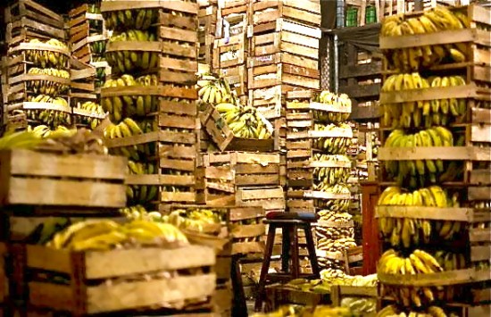 Corbas : les bananes étaient en fait... de la cocaïne