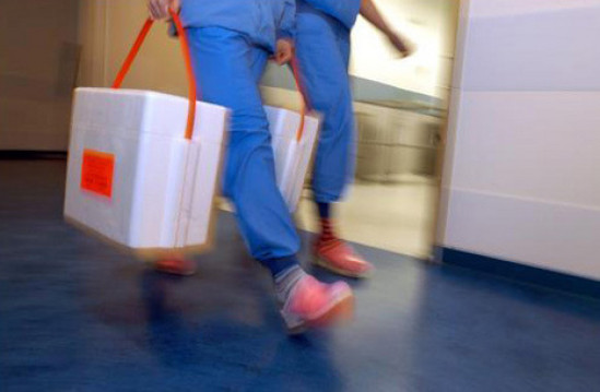 Une journée de sensibilisation au don d’organes