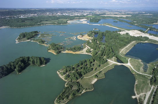 Une fillette écrasée par une branche d’arbre au Parc de Miribel-Jonage