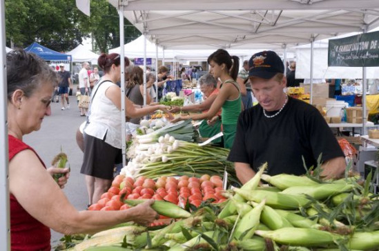Violences urbaines : le marché des saveurs et le salon du livre paient les pots cassés