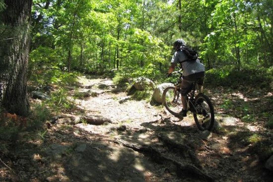 Ils partent à 4 faire du VTT dans le Beaujolais : un mort Ils partent à 4 faire du VTT dans le Beaujolais : un mort