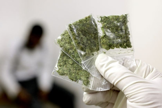 Il achète pour 80 euros de pelouse, croyant se procurer de la drogue