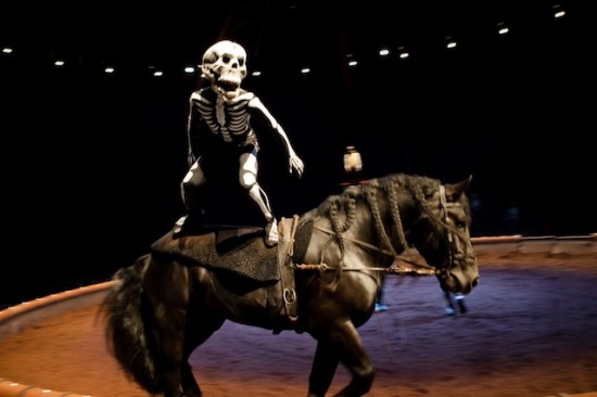 Nuits de Fourvière : Calacas, l'expérience post-mortem signée Bartabas et Zingaro