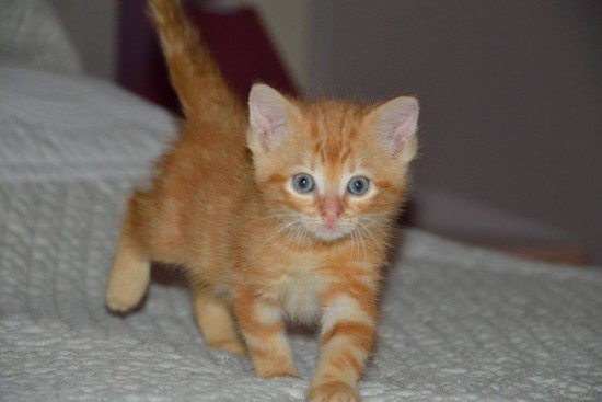 Que faire à Lyon ce week-end du 5, 6 & 7 août 2016 ?