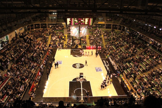 L'Asvel pourrait accueillir le tour pr&eacute;liminaire de l'Euroligue
