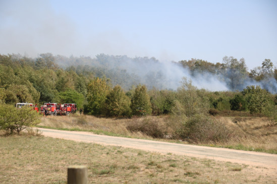 Violents incendies dans le Sud-Est : 60 pompiers de la région envoyés en renfort