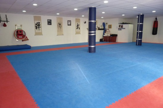 Le comité du Rhône de karaté pourrait perdre sa délégation Le comité du Rhône de karaté pourrait perdre sa délégation