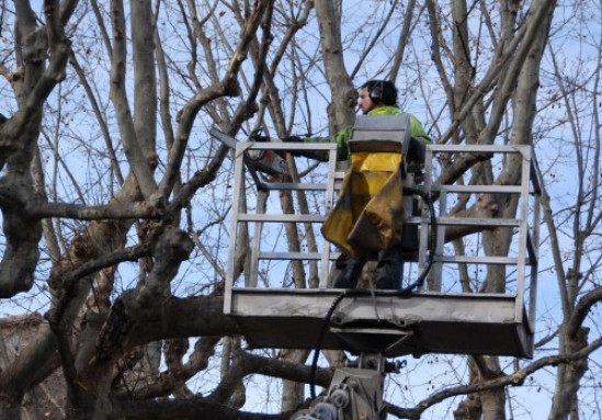 Des mesures après le drame du parc de Miribel Jonage