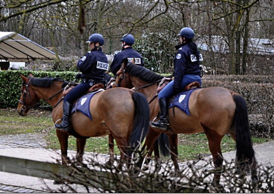 Une police montée à Lyon en 2012 Une police montée à Lyon en 2012