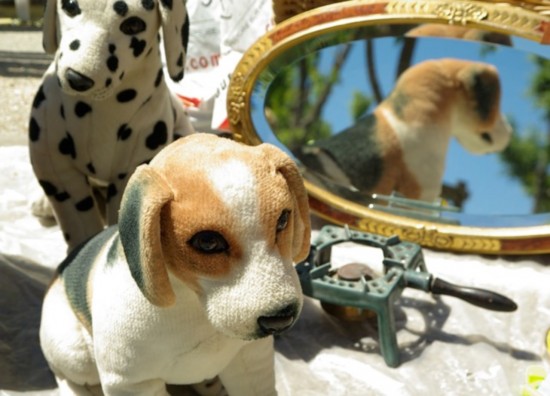 Le hangar des Puces du Canal toujours fermé