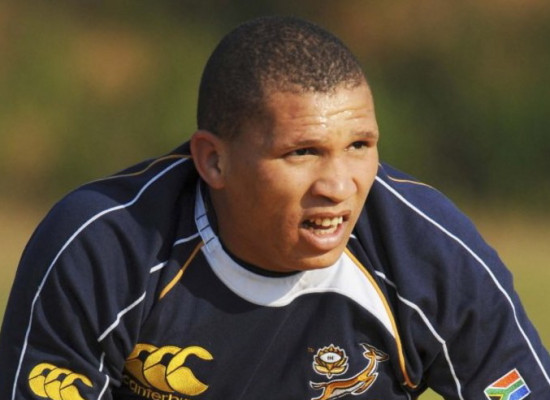 Un Springbok pour renforcer le LOU Un Springbok pour renforcer le LOU