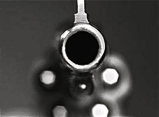 Un élève apporte un pistolet dans son lycée à Caluire (Màj)