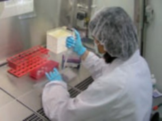 Inquiétudes pour l’emploi à Neuville-sur-Saône Inquiétudes pour l’emploi à Neuville-sur-Saône