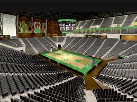 La salle multifonctions de l'ASVEL contrainte au système D